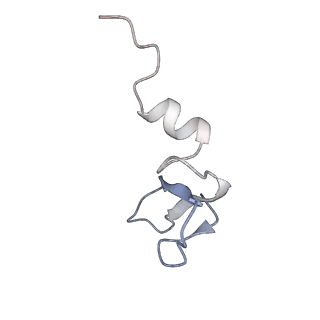 33762_7ye2_G_v1-0
The cryo-EM structure of C. crescentus GcrA-TACdown