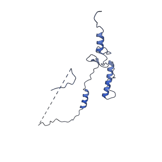 33770_7yed_1_v1-0
In situ structure of polymerase complex of mammalian reovirus in the elongation state