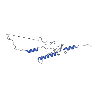 33770_7yed_2_v1-0
In situ structure of polymerase complex of mammalian reovirus in the elongation state