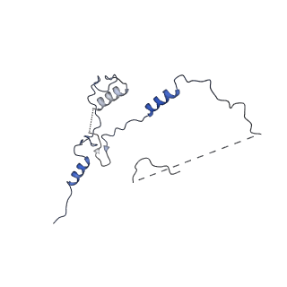 33770_7yed_4_v1-0
In situ structure of polymerase complex of mammalian reovirus in the elongation state