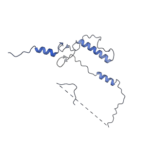 33770_7yed_5_v1-0
In situ structure of polymerase complex of mammalian reovirus in the elongation state