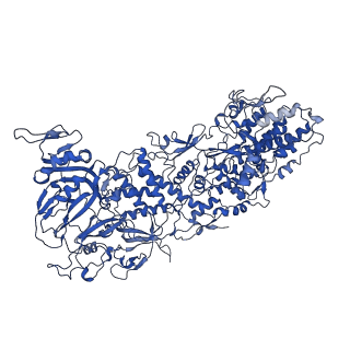 33770_7yed_A_v1-0
In situ structure of polymerase complex of mammalian reovirus in the elongation state