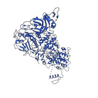 33770_7yed_B_v1-0
In situ structure of polymerase complex of mammalian reovirus in the elongation state