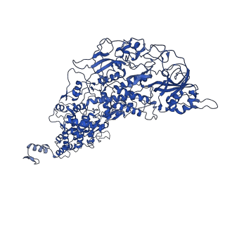 33770_7yed_C_v1-0
In situ structure of polymerase complex of mammalian reovirus in the elongation state