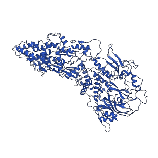 33770_7yed_D_v1-0
In situ structure of polymerase complex of mammalian reovirus in the elongation state