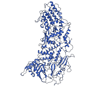 33770_7yed_E_v1-0
In situ structure of polymerase complex of mammalian reovirus in the elongation state