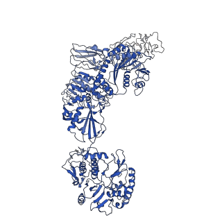 33770_7yed_H_v1-0
In situ structure of polymerase complex of mammalian reovirus in the elongation state