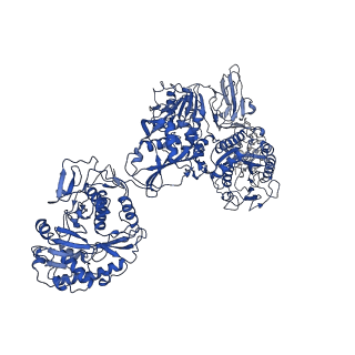 33770_7yed_I_v1-0
In situ structure of polymerase complex of mammalian reovirus in the elongation state