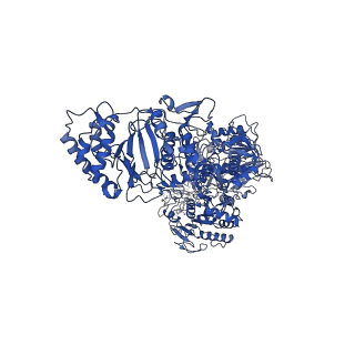 33770_7yed_J_v1-0
In situ structure of polymerase complex of mammalian reovirus in the elongation state