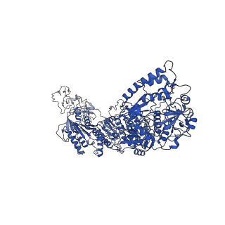 33770_7yed_K_v1-0
In situ structure of polymerase complex of mammalian reovirus in the elongation state