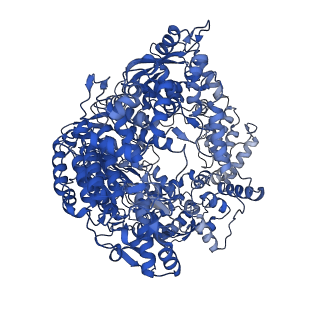 33770_7yed_R_v1-0
In situ structure of polymerase complex of mammalian reovirus in the elongation state