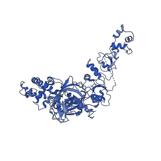 33770_7yed_U_v1-0
In situ structure of polymerase complex of mammalian reovirus in the elongation state