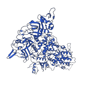33770_7yed_a_v1-0
In situ structure of polymerase complex of mammalian reovirus in the elongation state