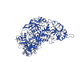 33770_7yed_b_v1-0
In situ structure of polymerase complex of mammalian reovirus in the elongation state