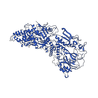 33770_7yed_c_v1-0
In situ structure of polymerase complex of mammalian reovirus in the elongation state