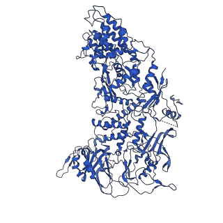 33770_7yed_d_v1-0
In situ structure of polymerase complex of mammalian reovirus in the elongation state