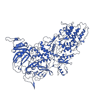 33770_7yed_e_v1-0
In situ structure of polymerase complex of mammalian reovirus in the elongation state