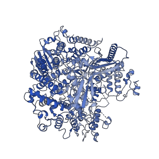 33775_7yer_A_v1-2
The structure of EBOV L-VP35 complex