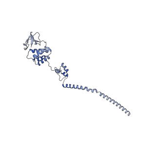 33775_7yer_B_v1-2
The structure of EBOV L-VP35 complex