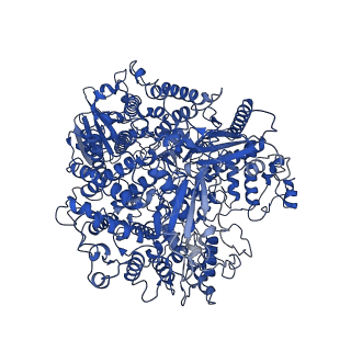 33776_7yes_A_v1-2
The structure of EBOV L-VP35-RNA complex (state2)