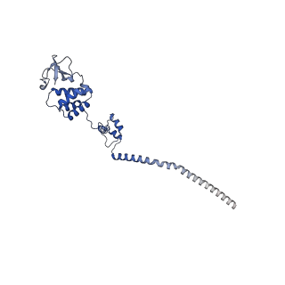 33776_7yes_B_v1-2
The structure of EBOV L-VP35-RNA complex (state2)