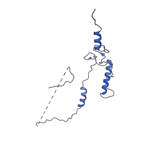 33778_7yev_3_v1-0
In situ structure of polymerase complex of mammalian reovirus in the pre-elongation state
