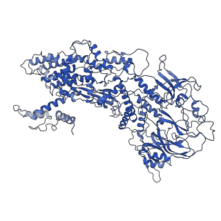 33778_7yev_A_v1-0
In situ structure of polymerase complex of mammalian reovirus in the pre-elongation state