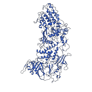 33778_7yev_B_v1-0
In situ structure of polymerase complex of mammalian reovirus in the pre-elongation state