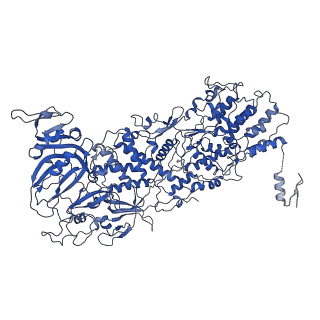 33778_7yev_C_v1-0
In situ structure of polymerase complex of mammalian reovirus in the pre-elongation state