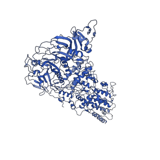 33778_7yev_D_v1-0
In situ structure of polymerase complex of mammalian reovirus in the pre-elongation state