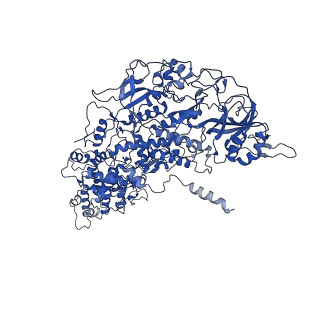 33778_7yev_E_v1-0
In situ structure of polymerase complex of mammalian reovirus in the pre-elongation state