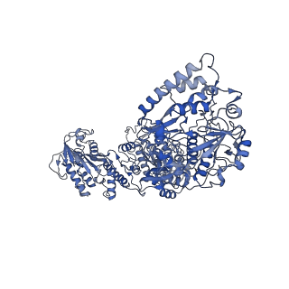 33778_7yev_H_v1-0
In situ structure of polymerase complex of mammalian reovirus in the pre-elongation state