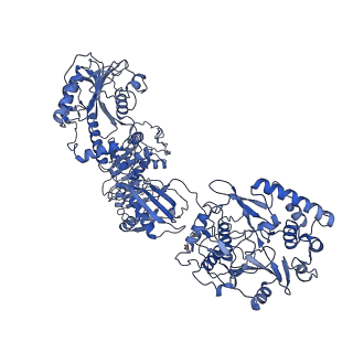 33778_7yev_I_v1-0
In situ structure of polymerase complex of mammalian reovirus in the pre-elongation state