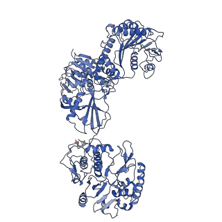 33778_7yev_J_v1-0
In situ structure of polymerase complex of mammalian reovirus in the pre-elongation state