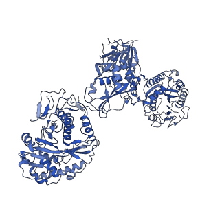 33778_7yev_K_v1-0
In situ structure of polymerase complex of mammalian reovirus in the pre-elongation state