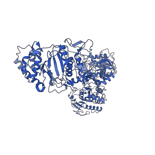 33778_7yev_L_v1-0
In situ structure of polymerase complex of mammalian reovirus in the pre-elongation state