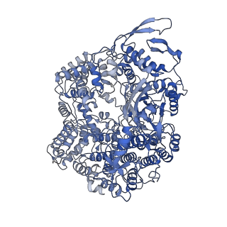 33778_7yev_R_v1-0
In situ structure of polymerase complex of mammalian reovirus in the pre-elongation state