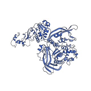 33778_7yev_U_v1-0
In situ structure of polymerase complex of mammalian reovirus in the pre-elongation state
