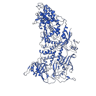 33778_7yev_a_v1-0
In situ structure of polymerase complex of mammalian reovirus in the pre-elongation state