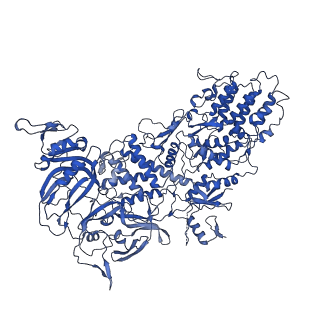 33778_7yev_b_v1-0
In situ structure of polymerase complex of mammalian reovirus in the pre-elongation state