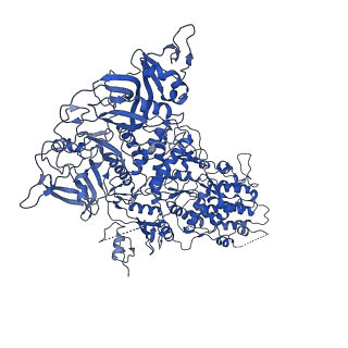 33778_7yev_c_v1-0
In situ structure of polymerase complex of mammalian reovirus in the pre-elongation state