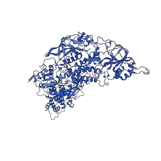 33778_7yev_d_v1-0
In situ structure of polymerase complex of mammalian reovirus in the pre-elongation state