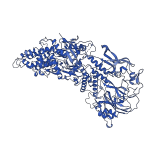 33778_7yev_e_v1-0
In situ structure of polymerase complex of mammalian reovirus in the pre-elongation state