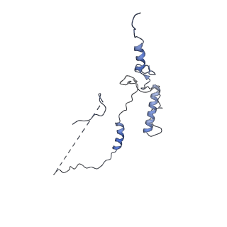 33779_7yez_1_v1-0
In situ structure of polymerase complex of mammalian reovirus in the reloaded state