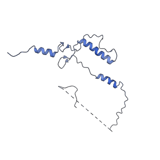 33779_7yez_5_v1-0
In situ structure of polymerase complex of mammalian reovirus in the reloaded state
