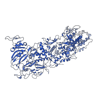 33779_7yez_A_v1-0
In situ structure of polymerase complex of mammalian reovirus in the reloaded state