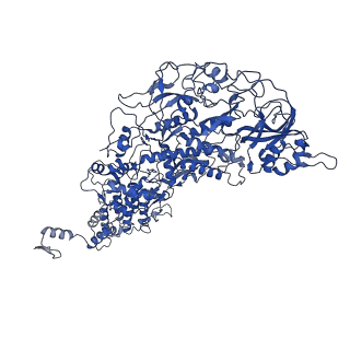 33779_7yez_C_v1-0
In situ structure of polymerase complex of mammalian reovirus in the reloaded state