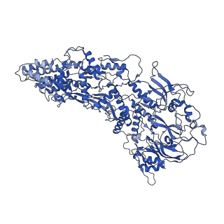 33779_7yez_D_v1-0
In situ structure of polymerase complex of mammalian reovirus in the reloaded state