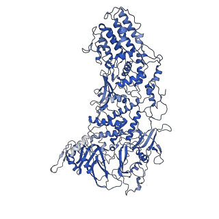 33779_7yez_E_v1-0
In situ structure of polymerase complex of mammalian reovirus in the reloaded state