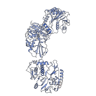 33779_7yez_H_v1-0
In situ structure of polymerase complex of mammalian reovirus in the reloaded state